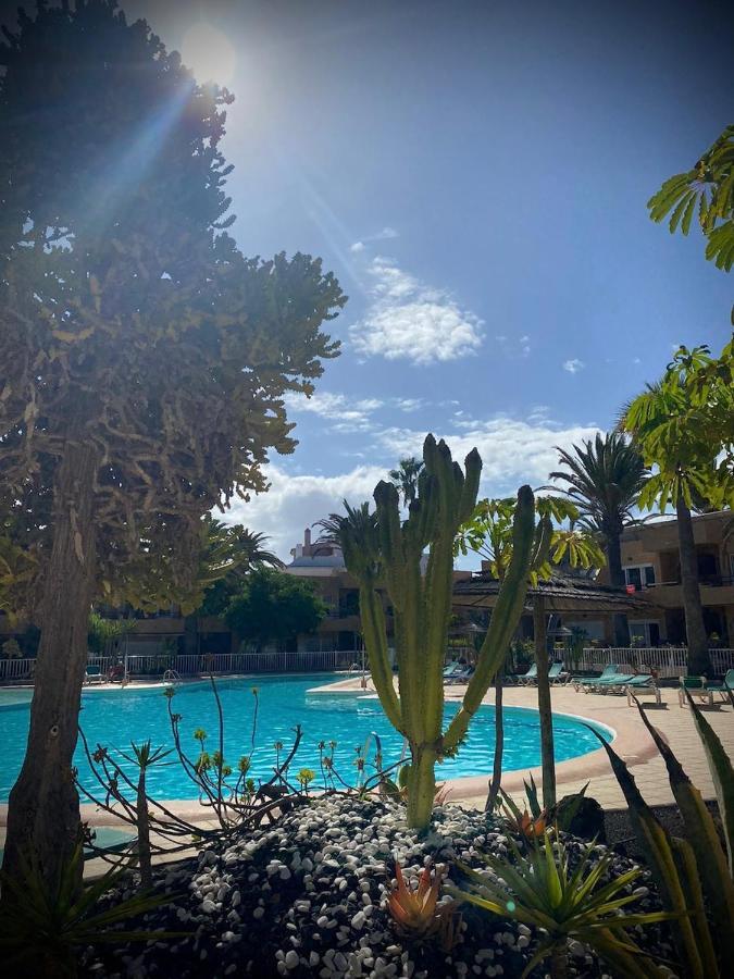 Caracol Apartman Corralejo Kültér fotó