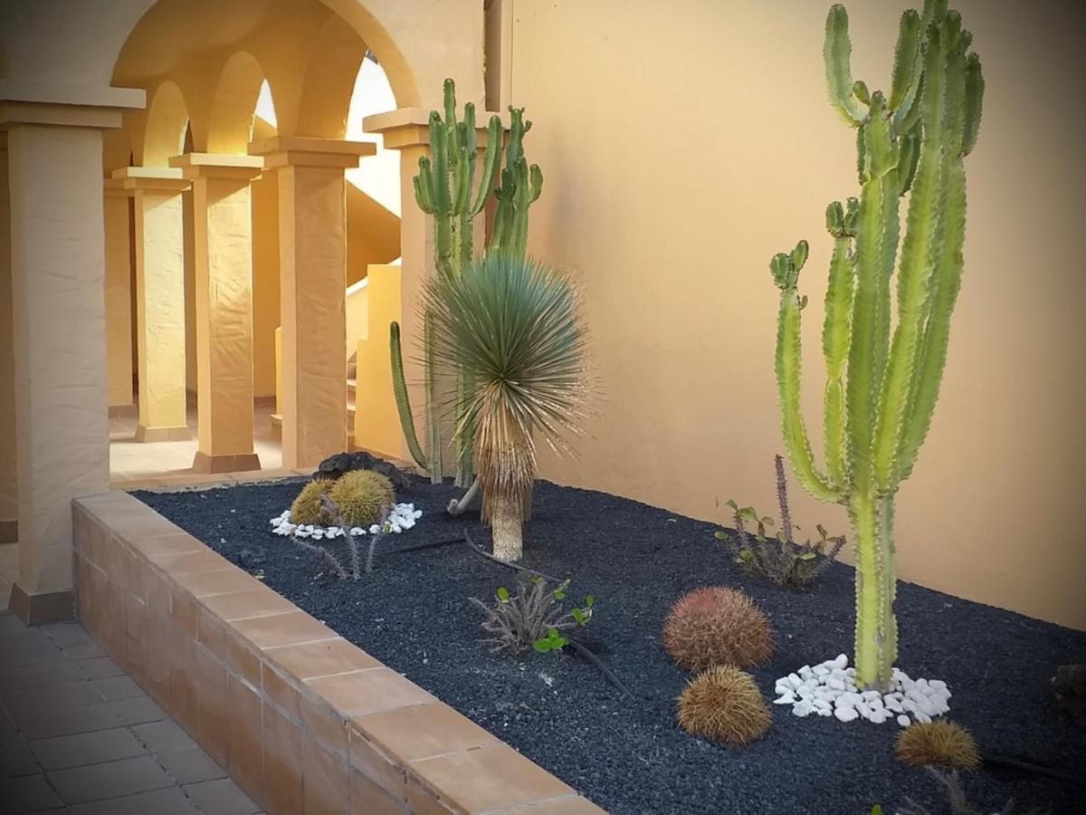 Caracol Apartman Corralejo Kültér fotó